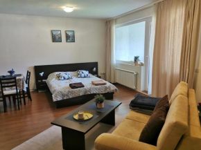 Sunny studio apartment - few steps from Gondola